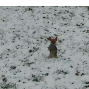 Meet your Posher, Gordon